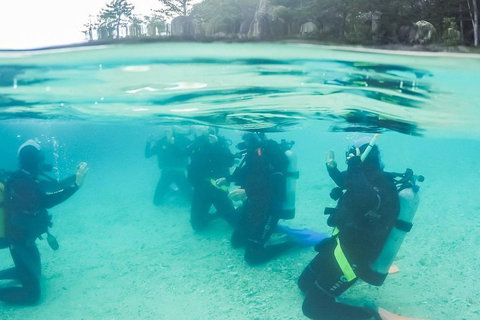 3 Day Whitsundays Sailing And Diving Adventure: Kiana - Accommodation Brunswick Heads 4