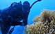 3 Day Whitsundays Sailing And Diving Adventure: Kiana - thumb 5