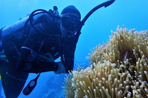 3 Day Whitsundays Sailing And Diving Adventure: Kiana - Accommodation Brunswick Heads 5