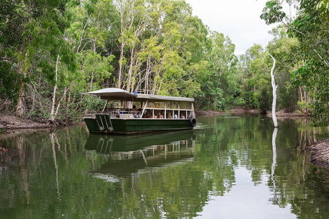 Hartley's Crocodile Adventures Breakfast With The Koalas - Accommodation Brunswick Heads 0