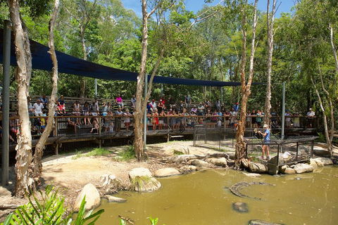 Hartley's Crocodile Adventures Breakfast With The Koalas - Accommodation Brunswick Heads 1