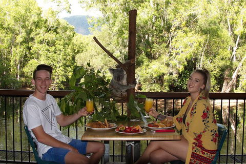 Hartley's Crocodile Adventures Breakfast With The Koalas - Accommodation Brunswick Heads 5