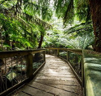 12 Apostles Eco-Friendly Great Ocean Road Iconic Adventure from Melbourne - Accommodation Brunswick Heads