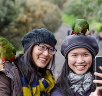 Small-Group Great Ocean Road and 12 Apostles Full-Day Tour from Melbourne - Accommodation Brunswick Heads