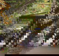 Adelaide Highlights Hahndorf  McLaren Vale Wine Tasting and Sightseeing Tour - Accommodation Brunswick Heads