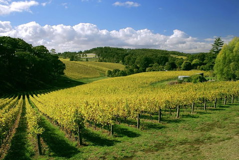 McLaren Vale And Glenelg Wine Tasting And Sightseeing (Half-day Afternoon) - Accommodation Brunswick Heads 4