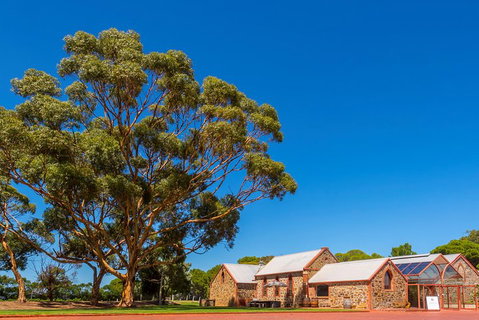 McLaren Vale And Glenelg Wine Tasting And Sightseeing (Half-day Afternoon) - Accommodation Brunswick Heads 5
