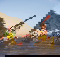 Kangaroo Island Self-Guided Kayaking on the Harriet River - Accommodation Brunswick Heads