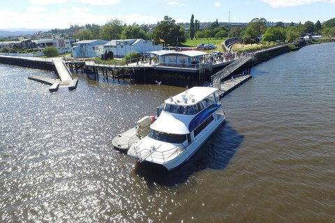 2.5 Hour Morning Discovery Cruise Including Sailing Into The Cataract Gorge - Accommodation Brunswick Heads 3