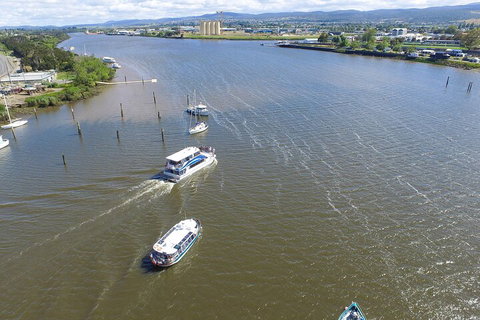 2.5 Hour Morning Discovery Cruise Including Sailing Into The Cataract Gorge - Accommodation Brunswick Heads 4