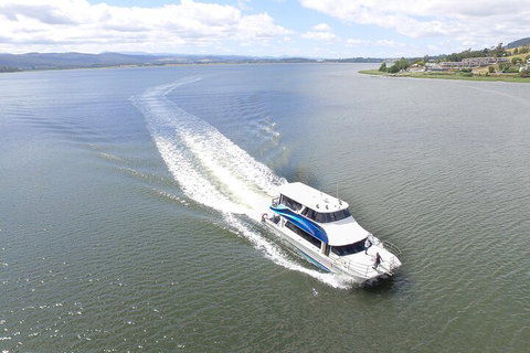 2.50 Hour Afternoon Discovery Cruise Including Cataract Gorge Departing At 3 Pm - Accommodation Brunswick Heads 0