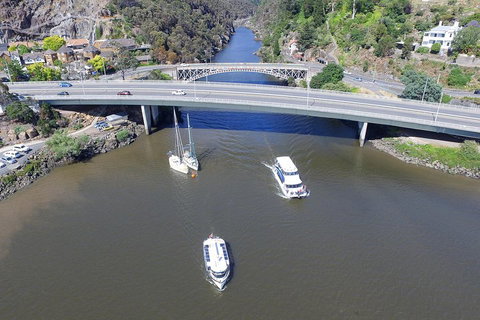 2.50 Hour Afternoon Discovery Cruise Including Cataract Gorge Departing At 3 Pm - Accommodation Brunswick Heads 1