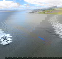 2.5 hour Afternoon Discovery Cruise including Cataract Gorge departs at 1 30 pm - Accommodation Brunswick Heads