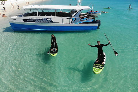 Whitsunday Bullet Day Trip - Whitehaven Beach And Snorkelling - Accommodation Brunswick Heads 4