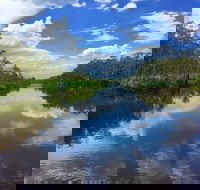 Noosa Everglades Serenity Cruise  Highlights Tour Inc. Lunch  Cruise - Accommodation Brunswick Heads