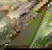 Blue Mountains Private Full-Day Tour from Sydney with Cruise - Accommodation Brunswick Heads