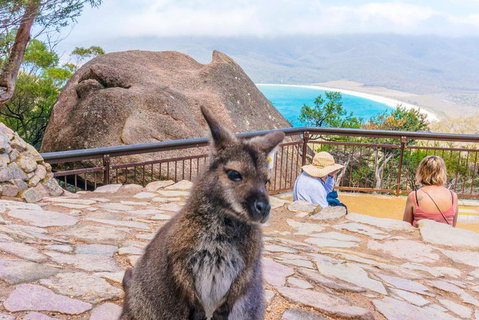 Wineglass Bay & Freycinet NP Full Day Tour From Hobart Via Richmond Village - Accommodation Brunswick Heads 0