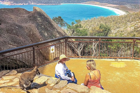 Wineglass Bay & Freycinet NP Full Day Tour From Hobart Via Richmond Village - Accommodation Brunswick Heads 1