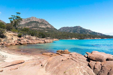 Wineglass Bay & Freycinet NP Full Day Tour From Hobart Via Richmond Village - Accommodation Brunswick Heads 5