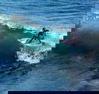 Great Ocean Road Highlights Tour - 2 Days 1 Night - Accommodation Brunswick Heads
