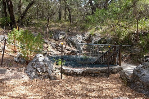 Ngilgi Cave Semi-guided Tour - Accommodation Brunswick Heads 4