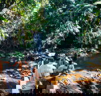 Aquaduck  Your choice of Gold Coast Rainforest Tour - Accommodation Brunswick Heads