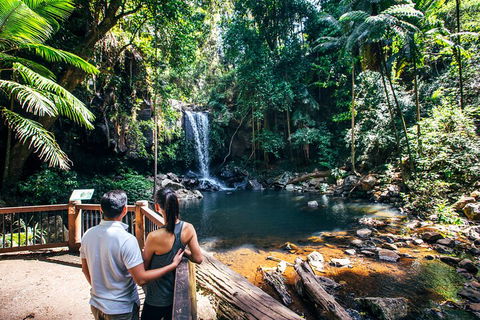Aquaduck & Your Choice Of Gold Coast Rainforest Tour - Accommodation Brunswick Heads 0