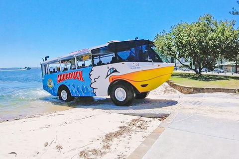 Aquaduck & Your Choice Of Gold Coast Rainforest Tour - Accommodation Brunswick Heads 1