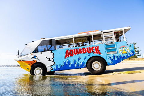 Aquaduck & Your Choice Of Gold Coast Rainforest Tour - Accommodation Brunswick Heads 3