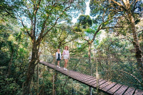 Aquaduck & Your Choice Of Gold Coast Rainforest Tour - Accommodation Brunswick Heads 4