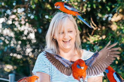 Aquaduck & Your Choice Of Gold Coast Rainforest Tour - Accommodation Brunswick Heads 5