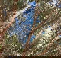 Kangaroo Island 4WD Tour - Best of KI in 2 Days - Accommodation Brunswick Heads