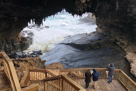 Kangaroo Island 4WD Tour - Best Of KI - Accommodation Brunswick Heads 1