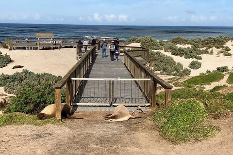 Kangaroo Island 4WD Tour - Best Of KI - Accommodation Brunswick Heads 2