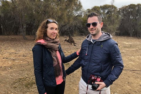 Kangaroo Island 4WD Tour - Best Of KI - Accommodation Brunswick Heads 3