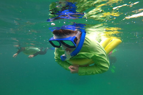 Manly Snorkel Trip And Nature Walk With Local Guide - Accommodation Brunswick Heads 5