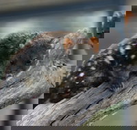 Sunset Experience - Accommodation Brunswick Heads