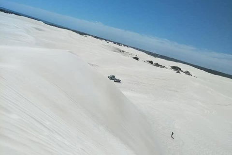 Yanchep & Lancelin - Wildlife, Cave And Sands - Accommodation Brunswick Heads 3