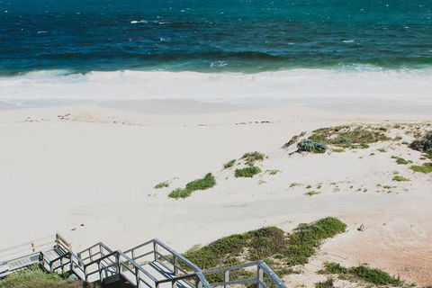 Yanchep & Lancelin - Wildlife, Cave And Sands - Accommodation Brunswick Heads 5