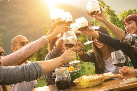 Yarra Valley, Dandenong Ranges Inc. Lunch With Wine,plus Morning Tea,chocolate - Accommodation Brunswick Heads 4