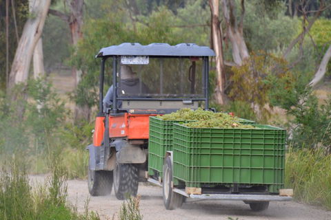 Yarra Valley Private Car Winery Tour And Chocolate.1-7 Passengers One Car Price - Accommodation Brunswick Heads 1
