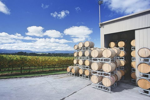Yarra Valley Private Car Winery Tour And Chocolate.1-7 Passengers One Car Price - Accommodation Brunswick Heads 2