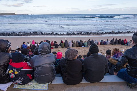 Healesville Sanctuary And Phillip Island Wildlife Bus Tour - Accommodation Brunswick Heads 1