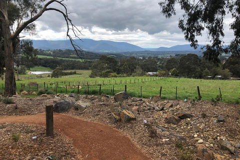 Yarra Valley Wine Tour Inc Lunch With A Glass Of Wine, Tastings And Chocolate - Accommodation Brunswick Heads 0