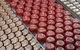 Yarra Valley Wine Tour Inc Lunch With A Glass Of Wine, Tastings And Chocolate - thumb 1