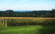 Yarra Valley Wine Tour Inc Lunch With A Glass Of Wine, Tastings And Chocolate - thumb 2