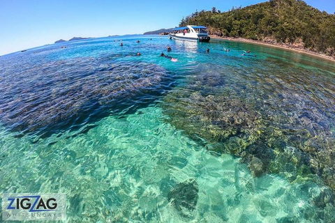 Whitehaven Beach Day Tour With Snorkel In Whitsundays Island - Accommodation Brunswick Heads 5