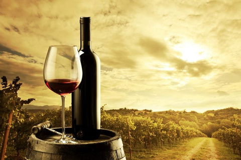 Barossa Valley Cellar Doors Luxury Wine Tour - Accommodation Brunswick Heads 0