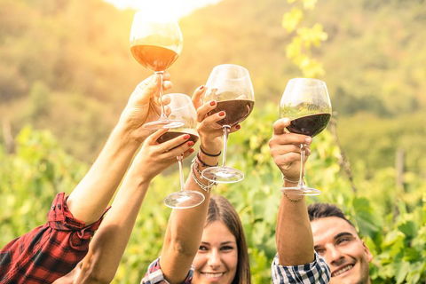 Barossa Valley Cellar Doors Luxury Wine Tour - Accommodation Brunswick Heads 1