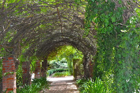 Barossa Valley Cellar Doors Luxury Wine Tour - Accommodation Brunswick Heads 3